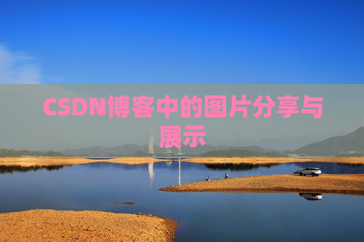 CSDN博客中的图片分享与展示